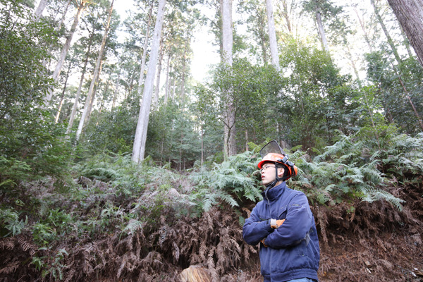 山全体としての経営を成り立たせるために
